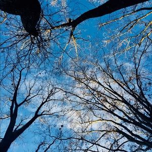 Meet your Posher, Adam